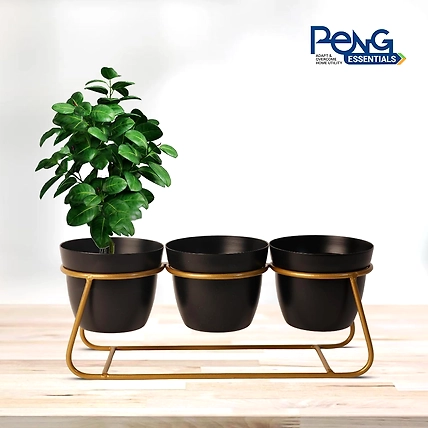 Iron Desktop Flower Pot Set of 3-2