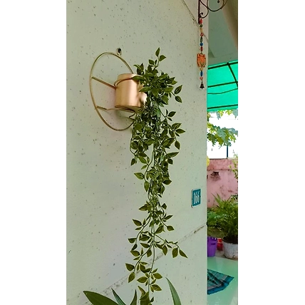 Metal Circular Hanging Planter-2