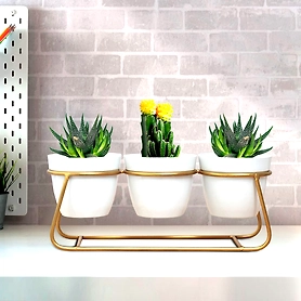 Iron Desktop Flower Pot Set of 3