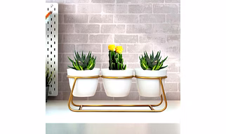 Iron Desktop Flower Pot Set of 3