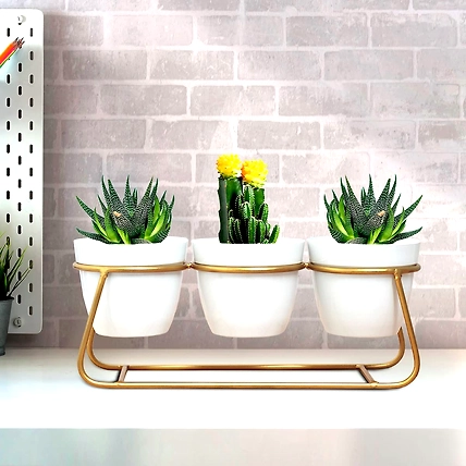 Iron Desktop Flower Pot Set of 3-12646755