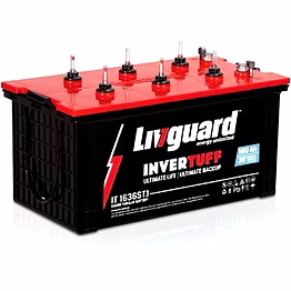 livguard it1636stj