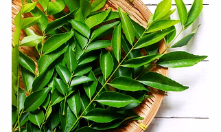 Curry leaves