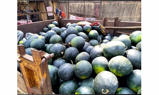 A GRADE WATERMALON FRESH FRUIT
