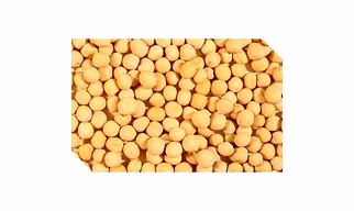 Yellow Peas