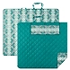 Picnic Blanket-12648569-sm