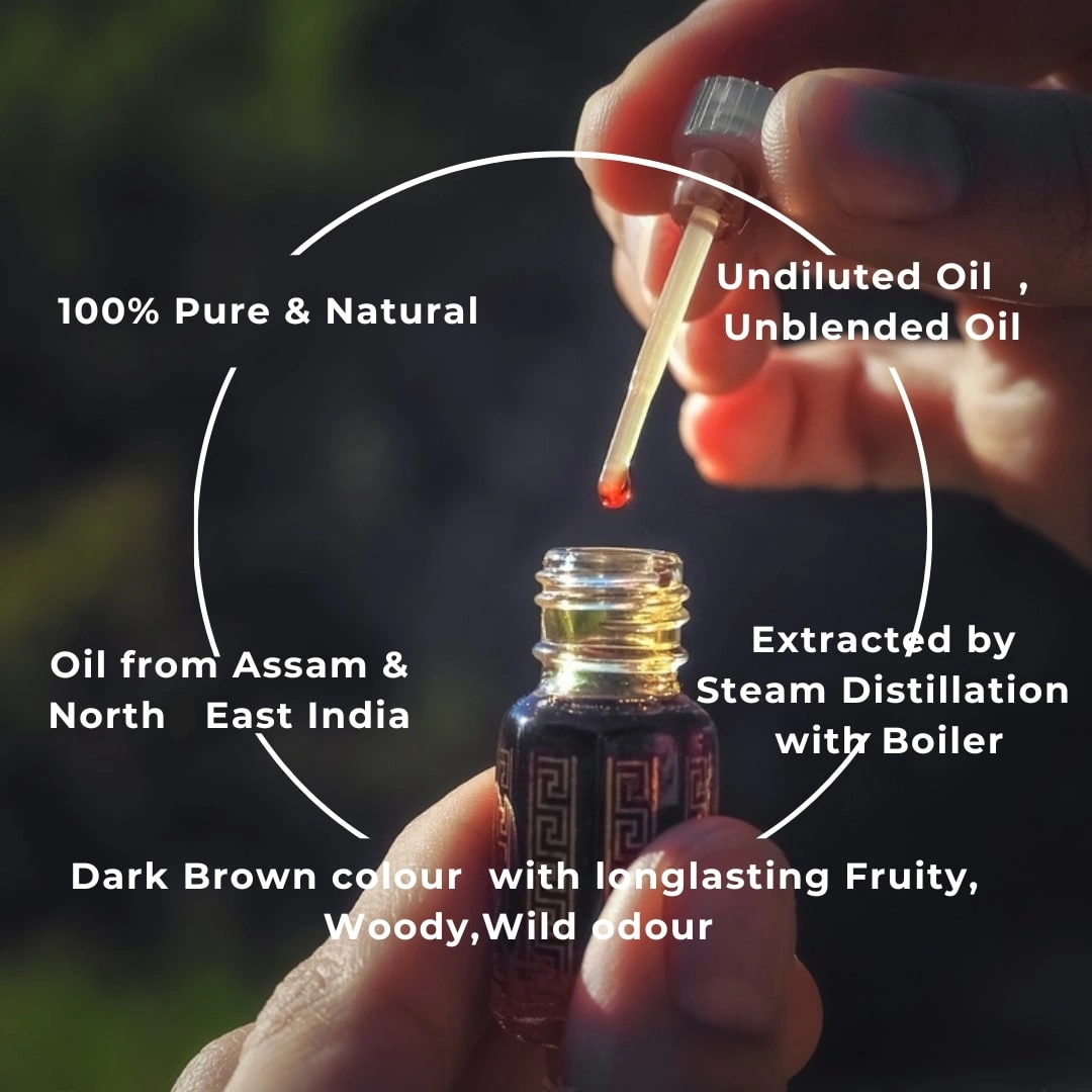 Agarwood Oil ( Oud Oil)-2