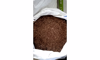 Agarwood Spent Wood ROUGH