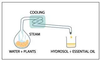 Hydrosol process