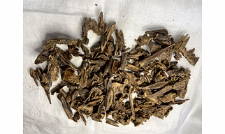 Agarwood (Oud) Chips MURI