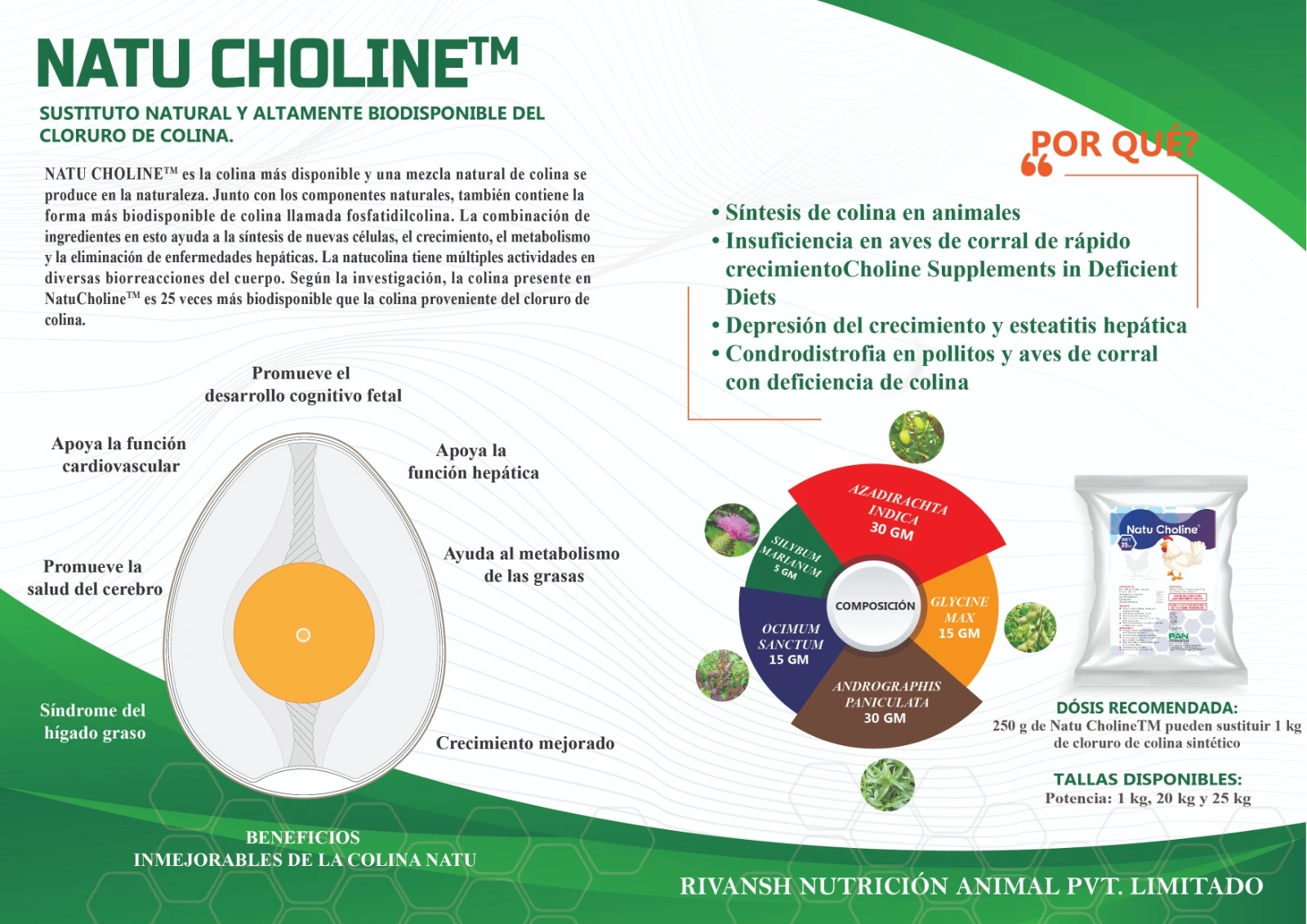 Natural Herbal Choline-2