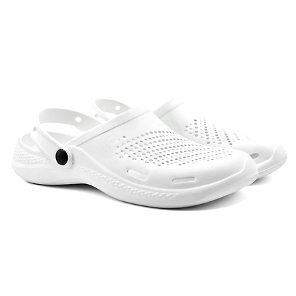 CLOGS-1