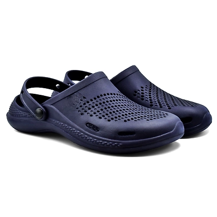 CLOGS-2
