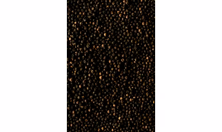 Pepper