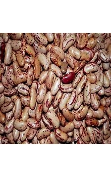 Rajma