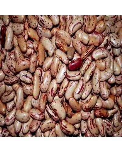 Rajma-10104