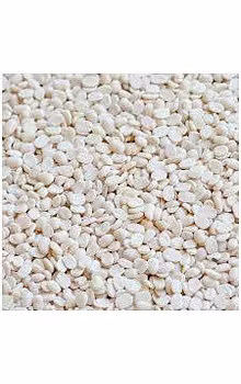 Urad Duli Standard