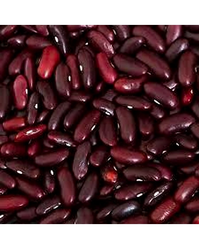 Rajma Red Srinagar-10133