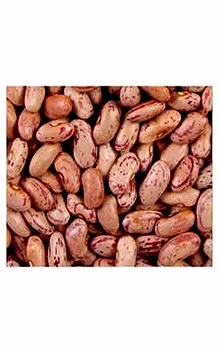Rajma Chitra Bhutan