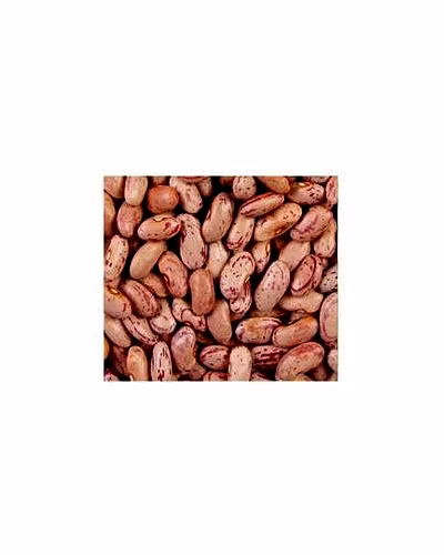 Rajma Chitra Bhutan-10131