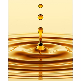 cold pressed oils