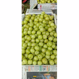 fresh indian gooseberry