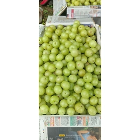 Fresh Indian Gooseberry