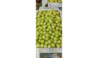 Fresh Indian Gooseberry