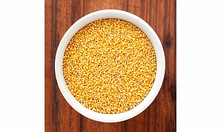 Sorghum Millet
