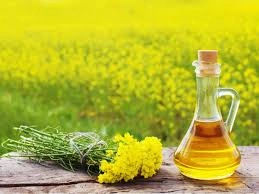 Mustard Oil-12645377