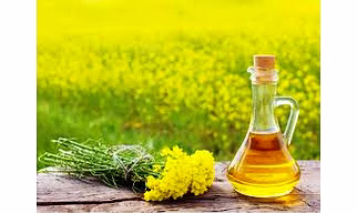 Mustard Oil