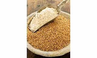 Wheat Flour