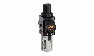1000 Series Filter-Regulator Piggyback