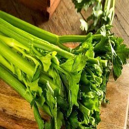 celery leaves