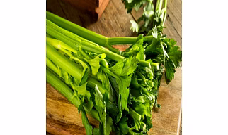 Celery Leaves