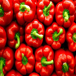 bell pepper (capsicum annuum)
