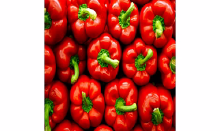 Bell Pepper (Capsicum annuum)