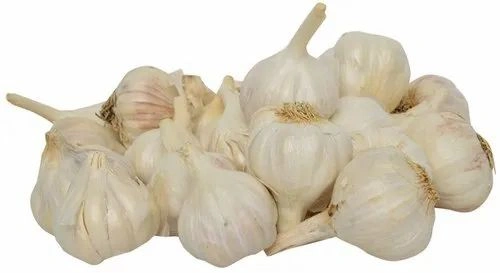 Garlic-4