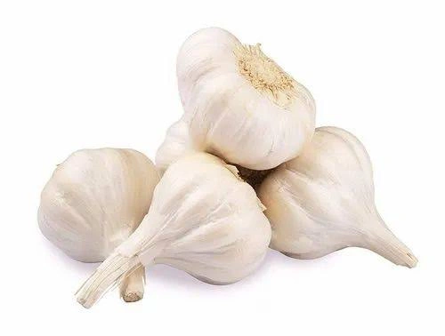 Garlic-12645879