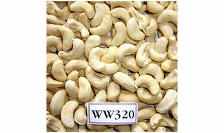 Cashew Nut W320