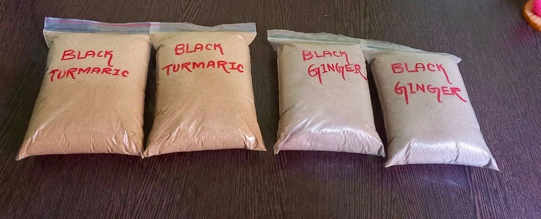 Black Turmeric-3