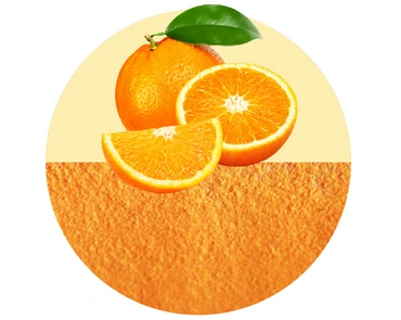 SPRAY DRIED ORANGE POWDER-12646183