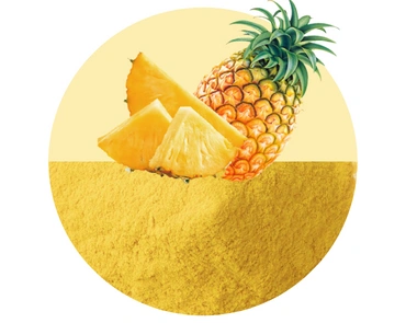 SPRAY DRIED PINEAPPLE POWDER-12646187