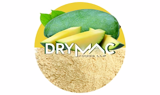SPRAY DRIED GREEN MANGO POWDER