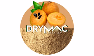 SPRAY DRIED CHIKOO (SAPOTA) POWDER