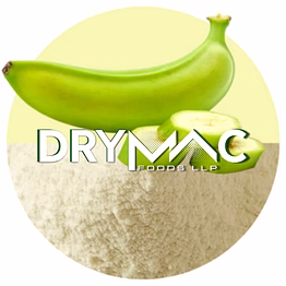 spray dried green banana powder