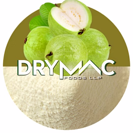 spray dried white guava powder