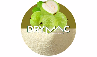 SPRAY DRIED WHITE GUAVA POWDER