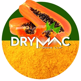 spray dried papaya ripe powder