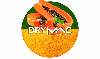 SPRAY DRIED PAPAYA RIPE POWDER